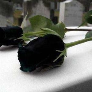 Meet your Posher, Maira